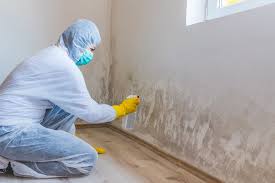 Best Mold Prevention Services in Taylor, TX